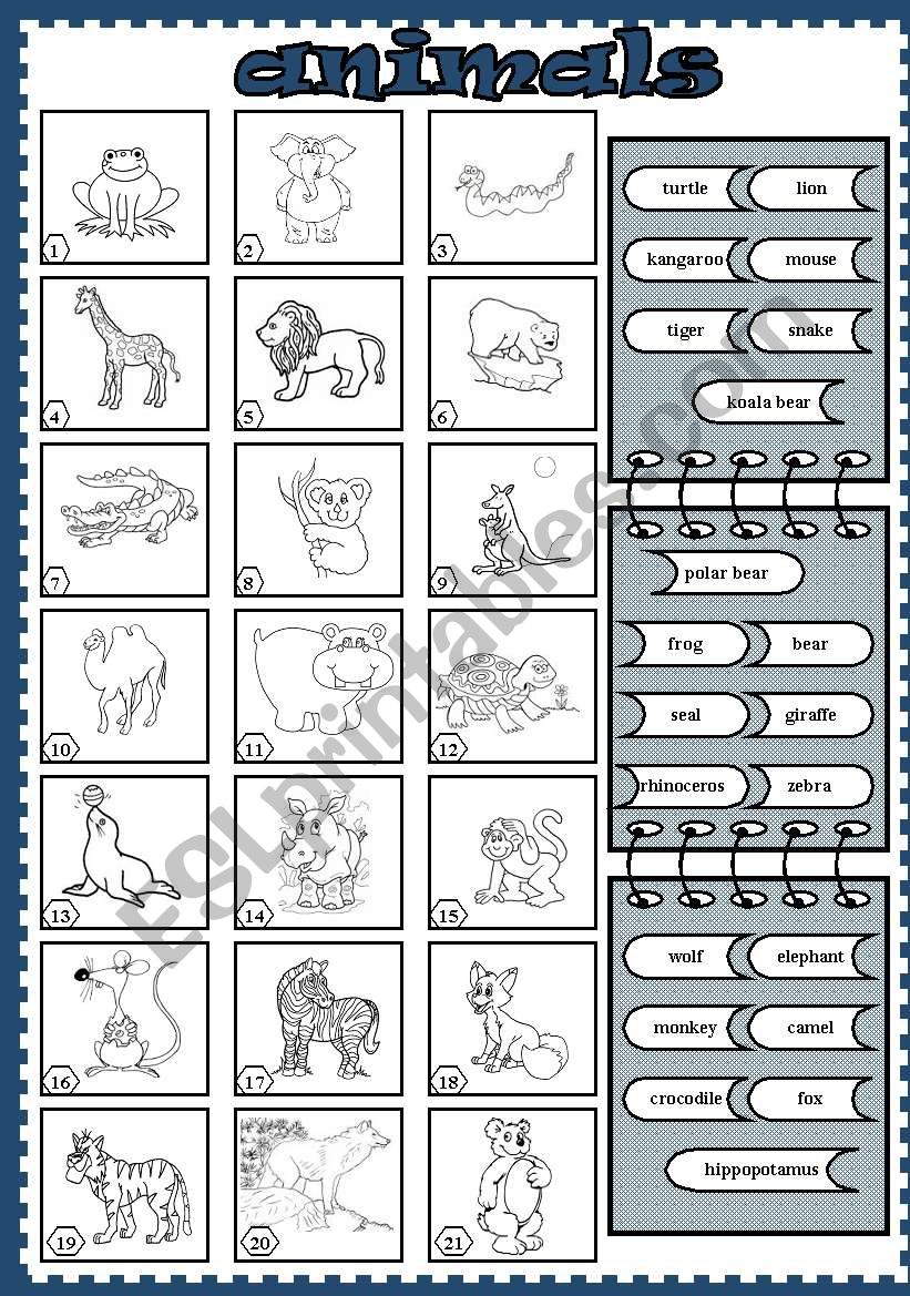 animals (6) worksheet