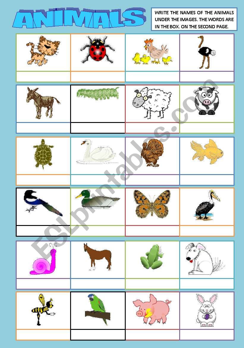 ANIMALS MATCHING (words 2nd. page) - ESL worksheet by sandytita
