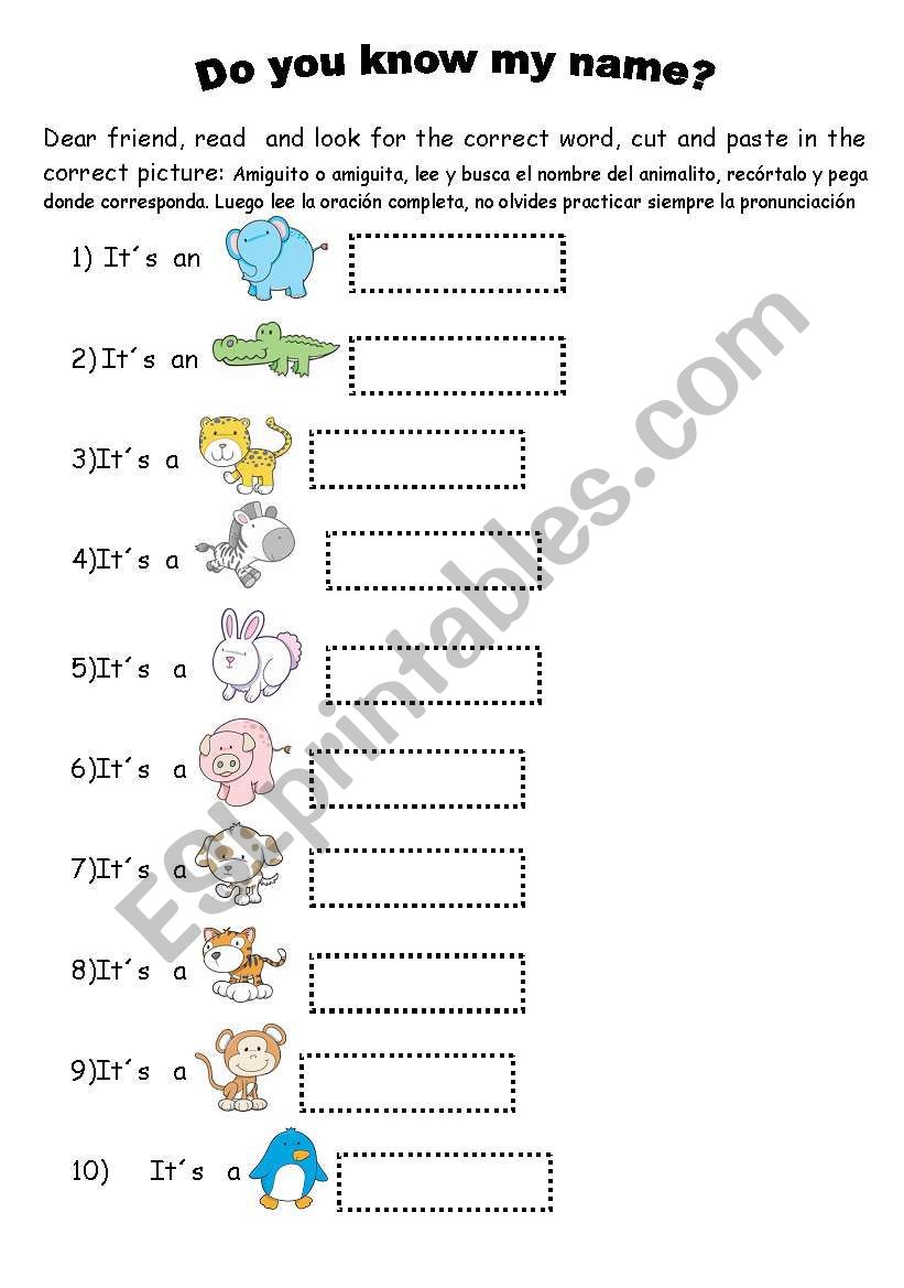 ANIMAL NAMES worksheet