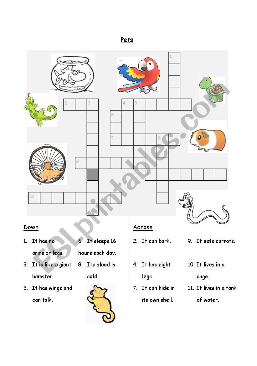Pets Crossword worksheet