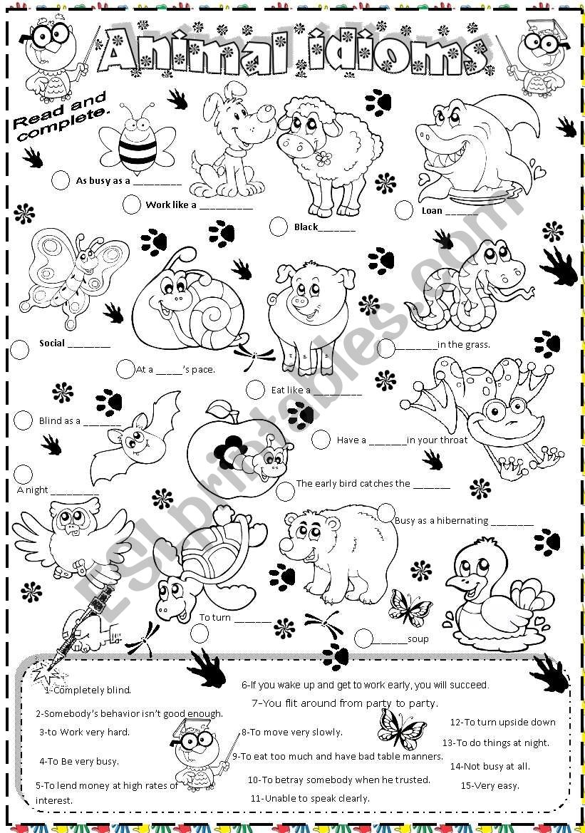 animal idioms worksheet