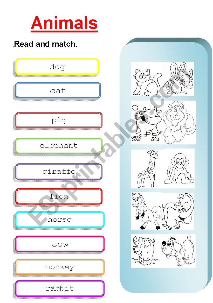 ANIMALS worksheet