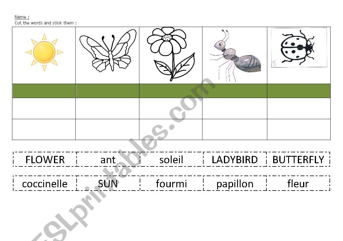 summer worksheet worksheet