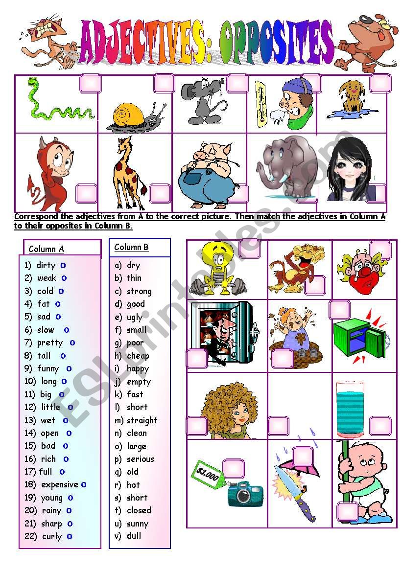 ADJECTIVES: OPPOSITES worksheet