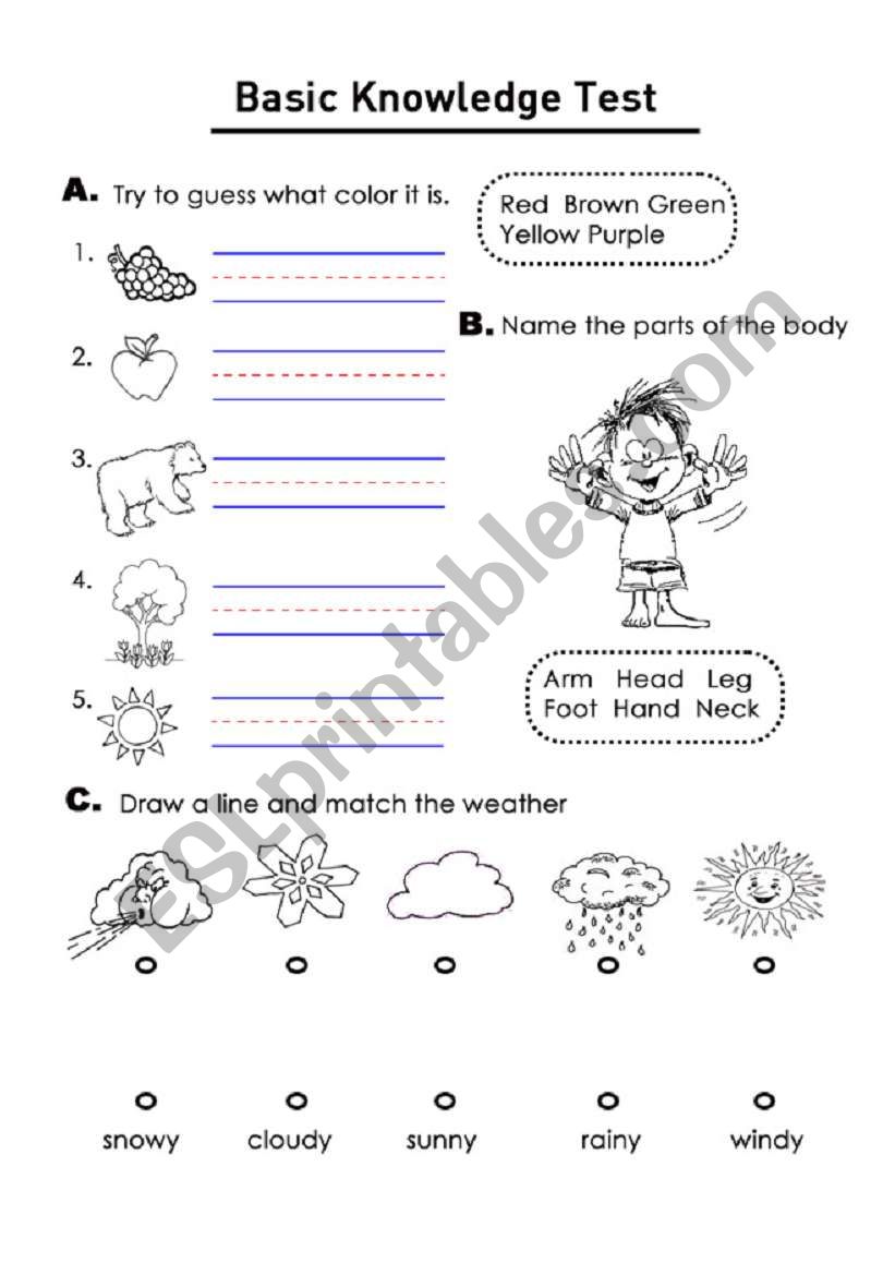 Basic Knowledge test worksheet