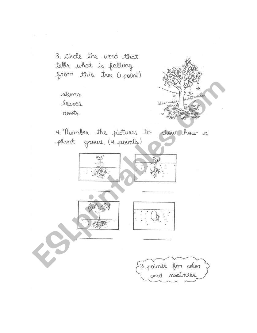 Parts of the Plant worksheet