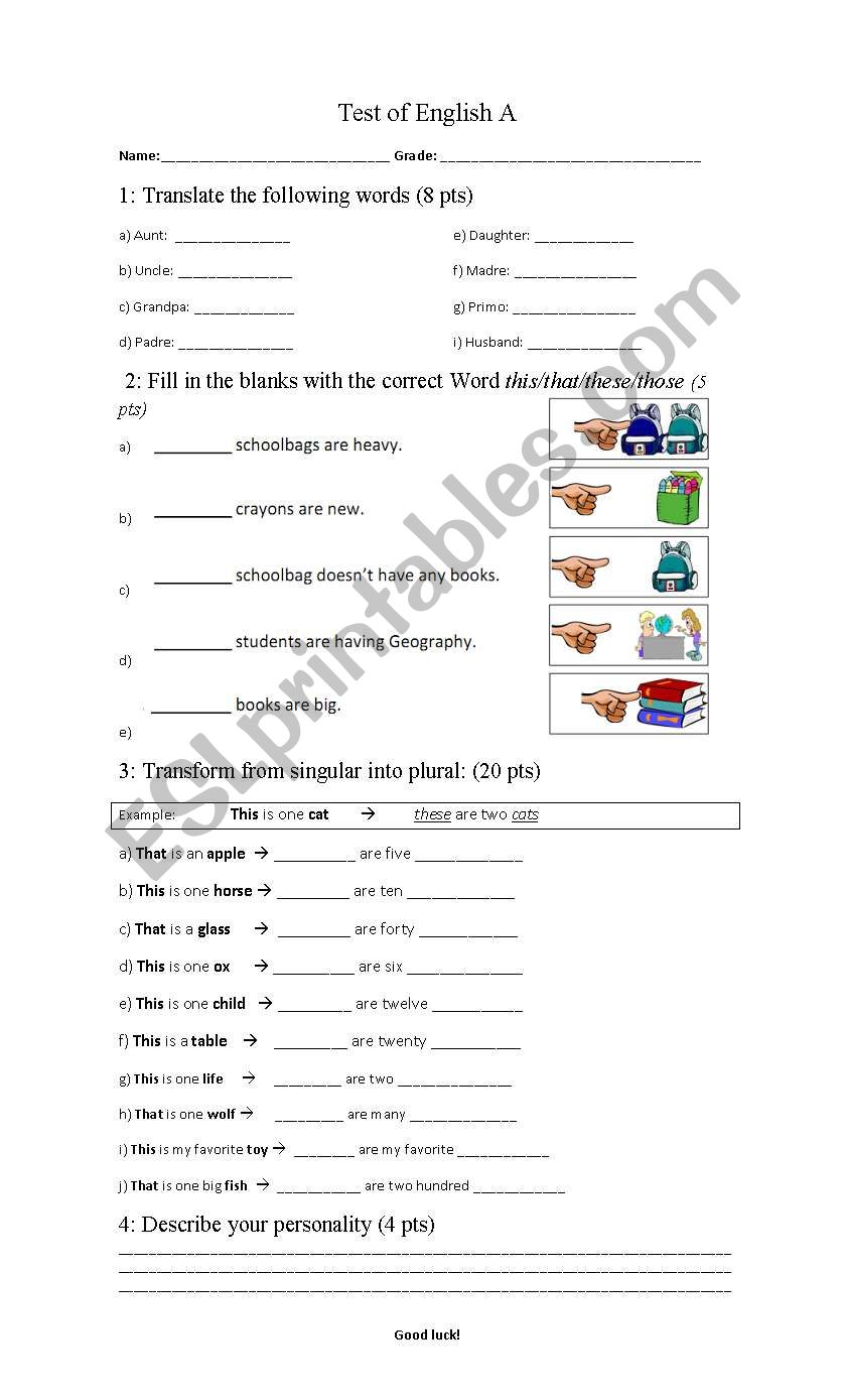 Test of plurals English worksheet