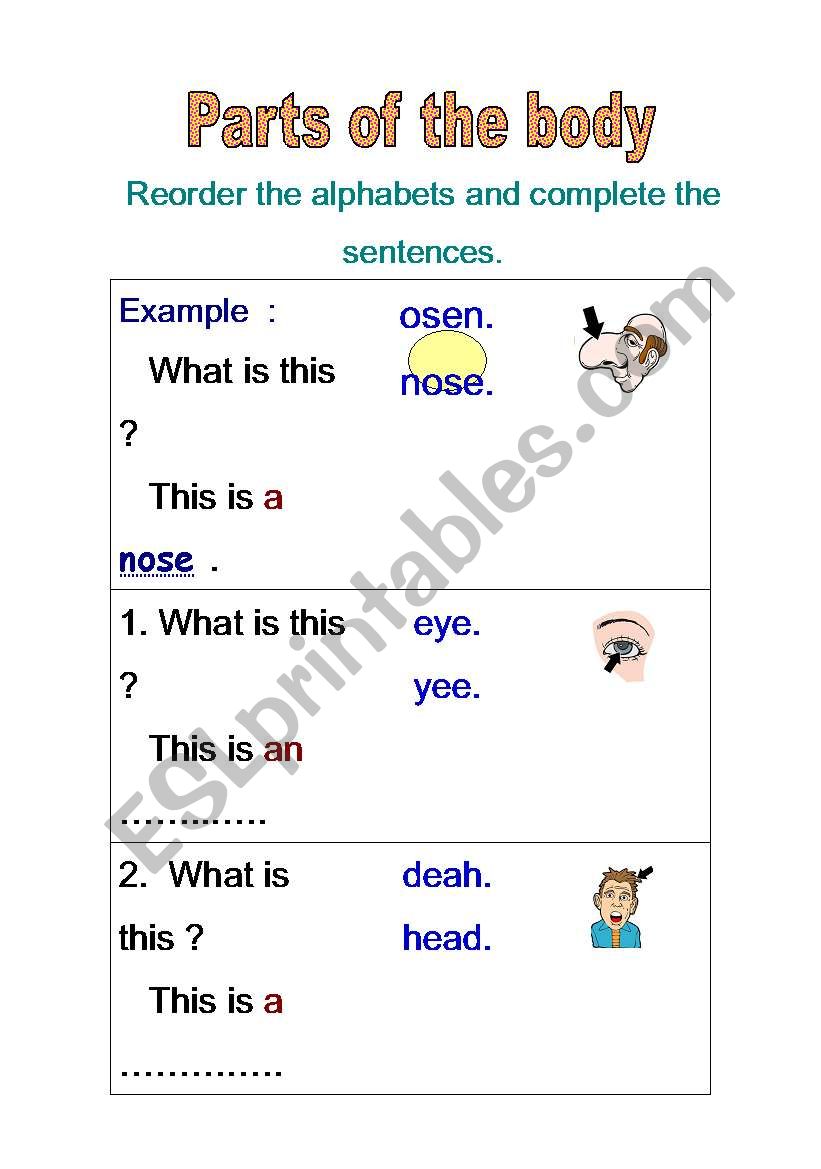 Parts of the body worksheet