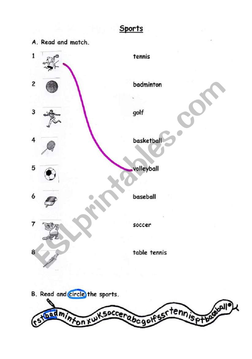 Sports worksheet