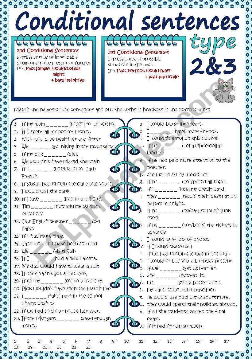 Conditional sentences - Type 2&3 (B&W + KEY included)