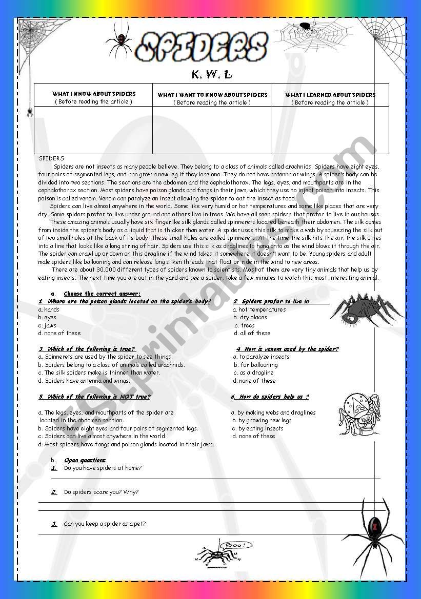 Spiders ( Reading Passage- KWL Strategy  )