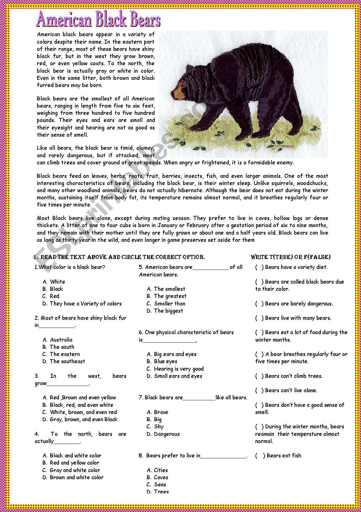 Reading-american black bears worksheet