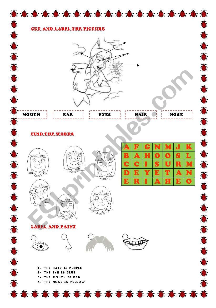 My face worksheet