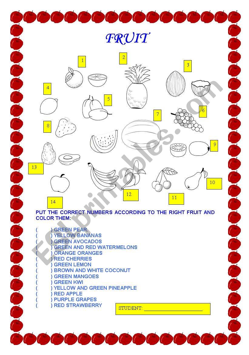 FRUIT worksheet