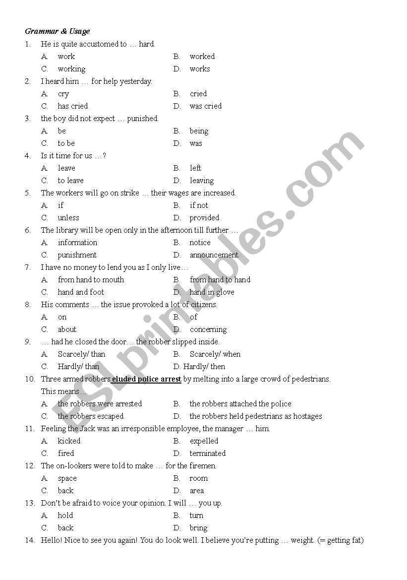 Grammar and Usage worksheet