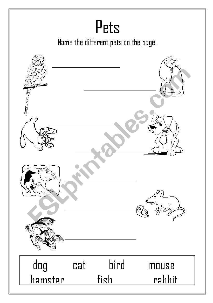 Pets worksheet