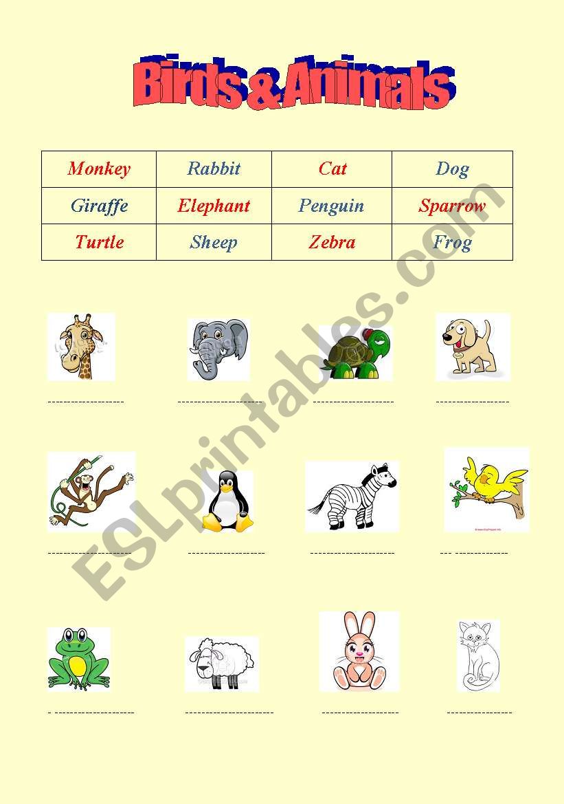 Birds & Animals worksheet