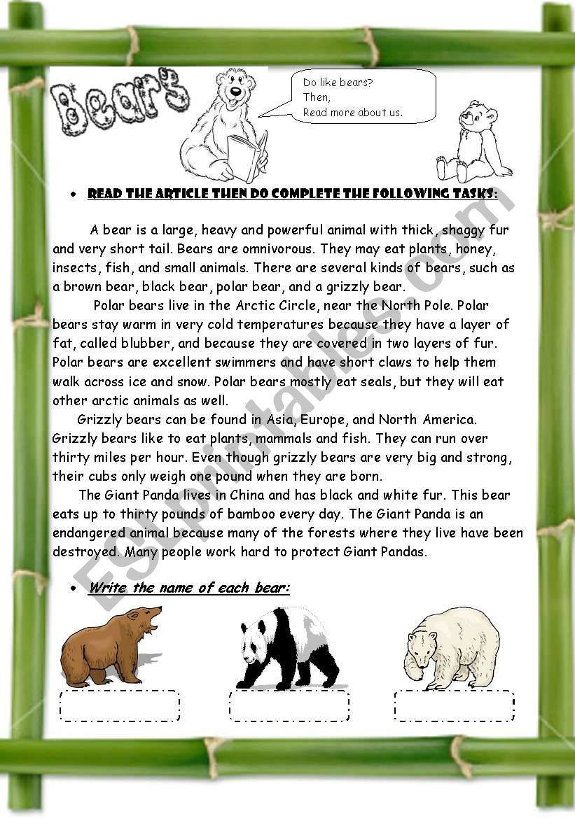 Bears ( 3 pages / + Compare & Contrast Strategy  )