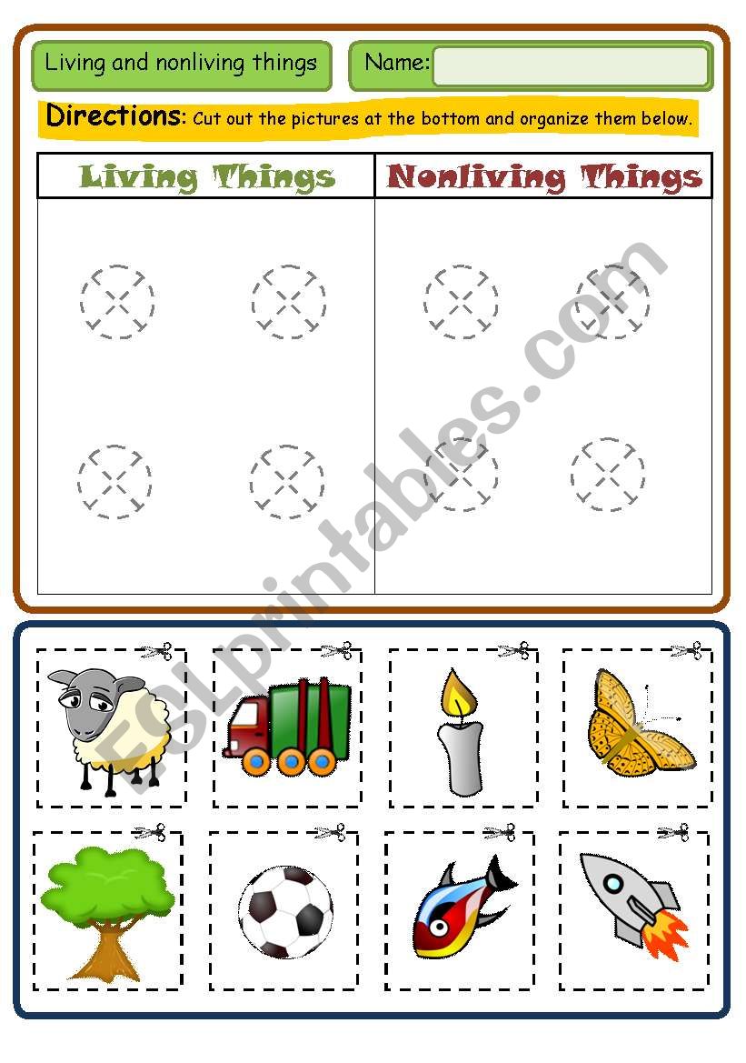 Living and nonliving things worksheet