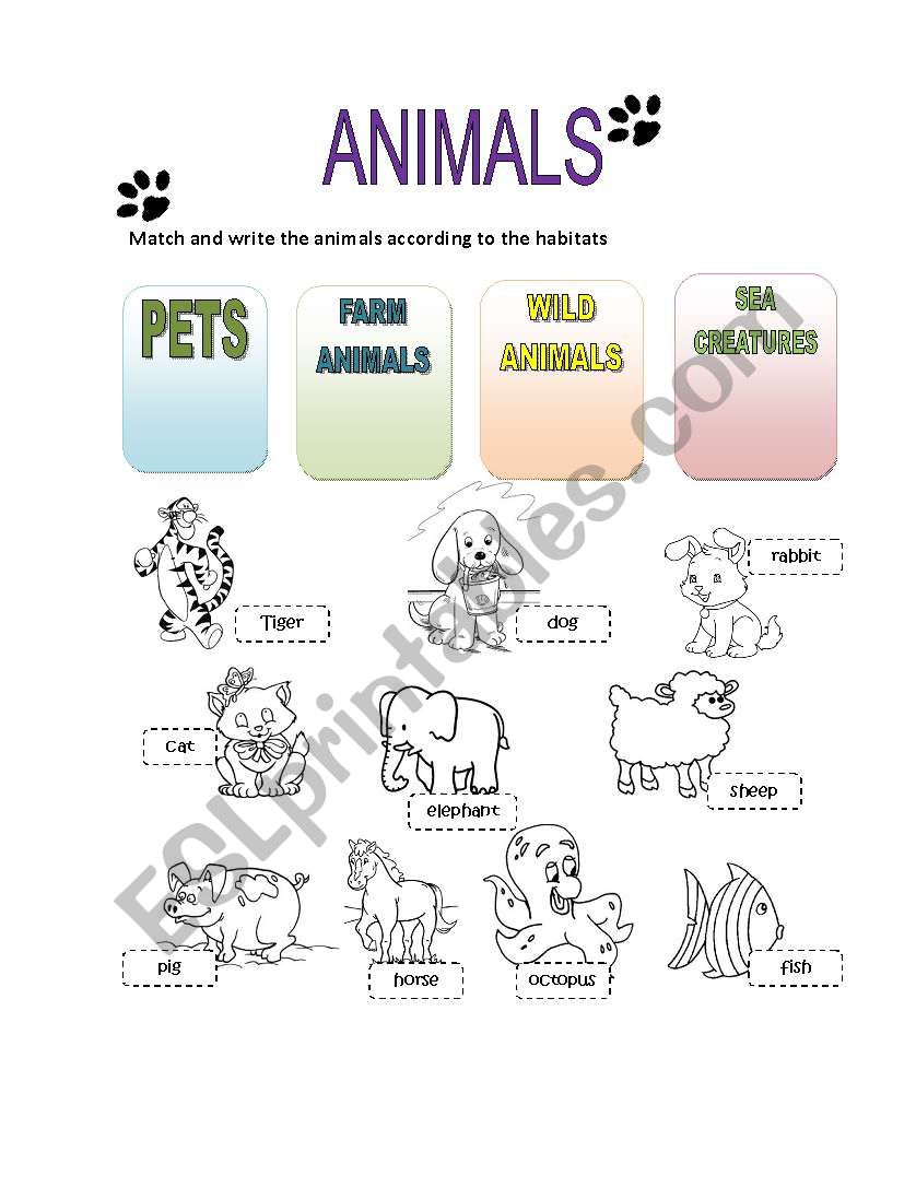 Animals habitat worksheet