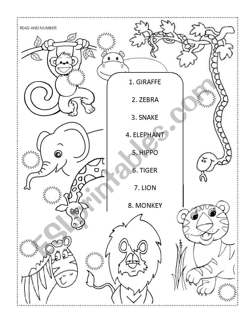 Zoo Animals (read and number) worksheet