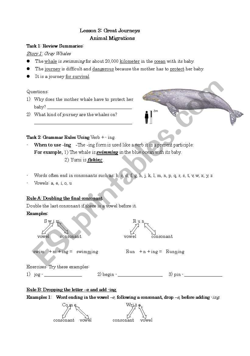 Using the -ing form worksheet