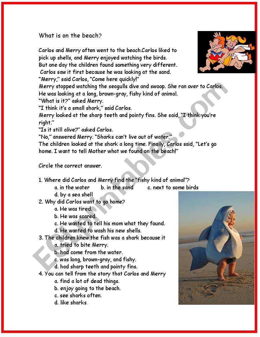 What is on the beach? worksheet