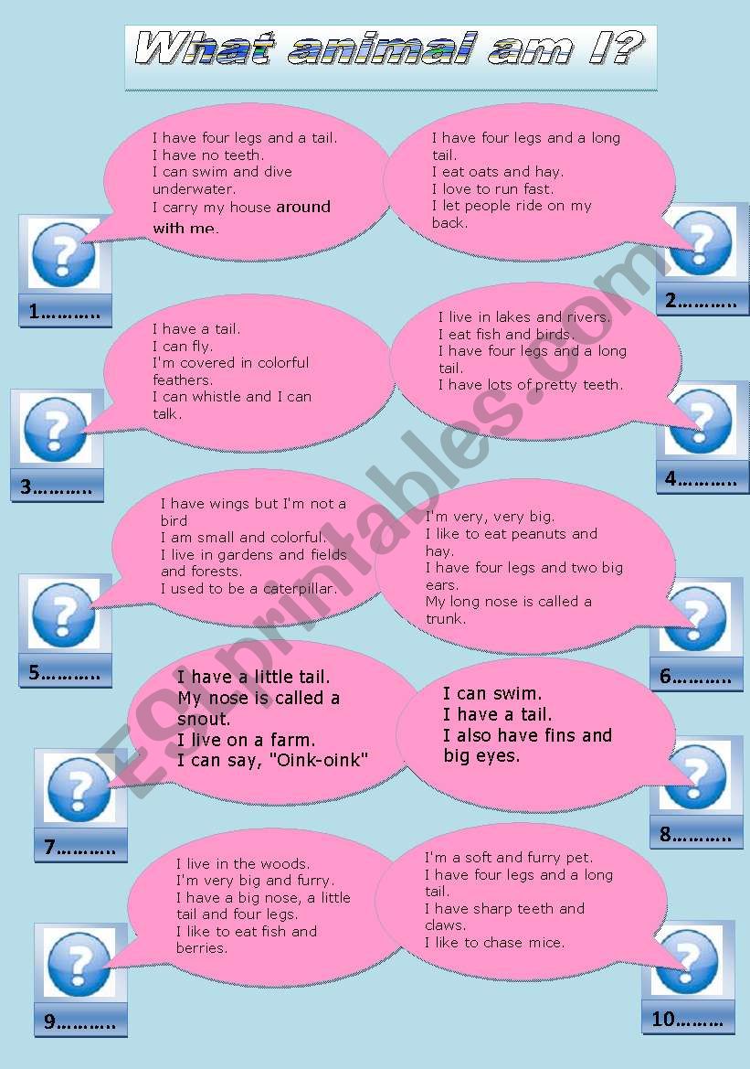 animals riddles worksheet