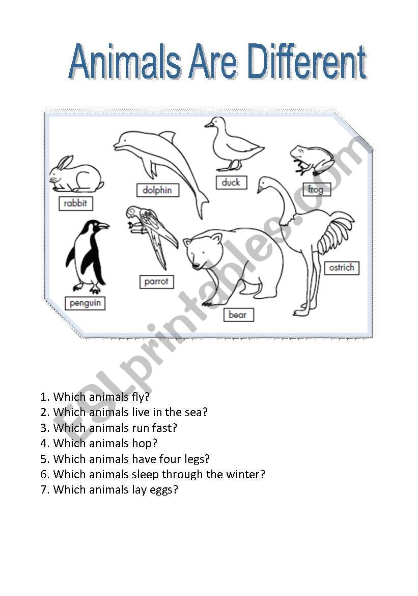 Animals are different worksheet