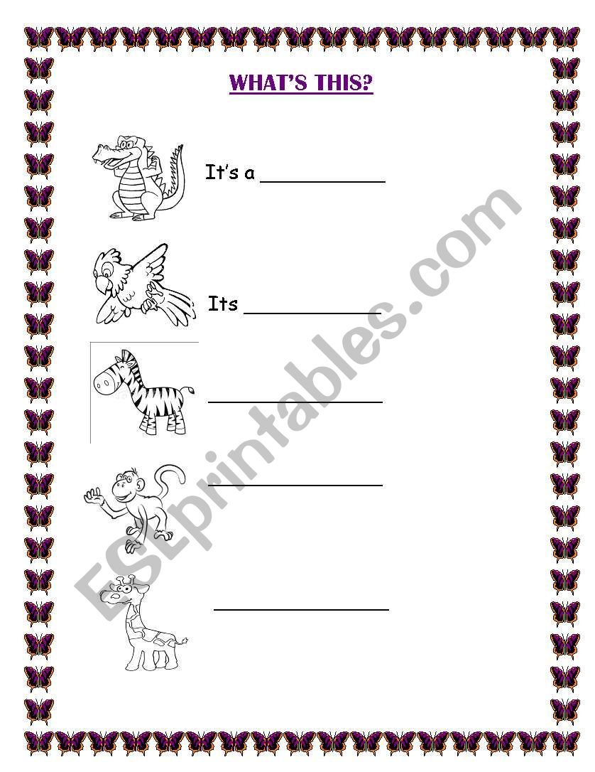 Animals worksheet