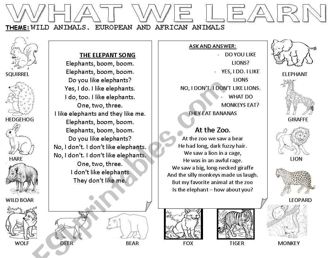 FOREST ANIMALS worksheet