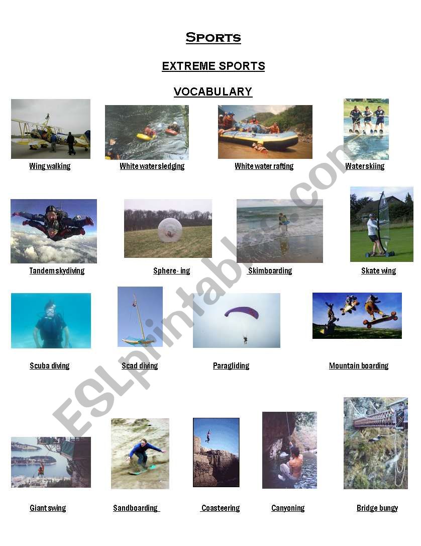 Extreme Sports worksheet