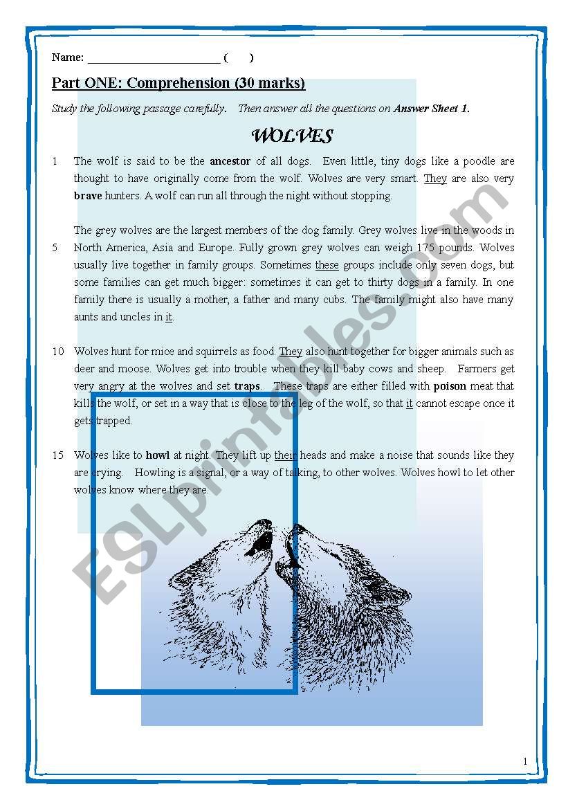 A complete version of reading comprehension, including 5 sections (long questions, MC, vocabulary, references), with anwer keys and answer sheet