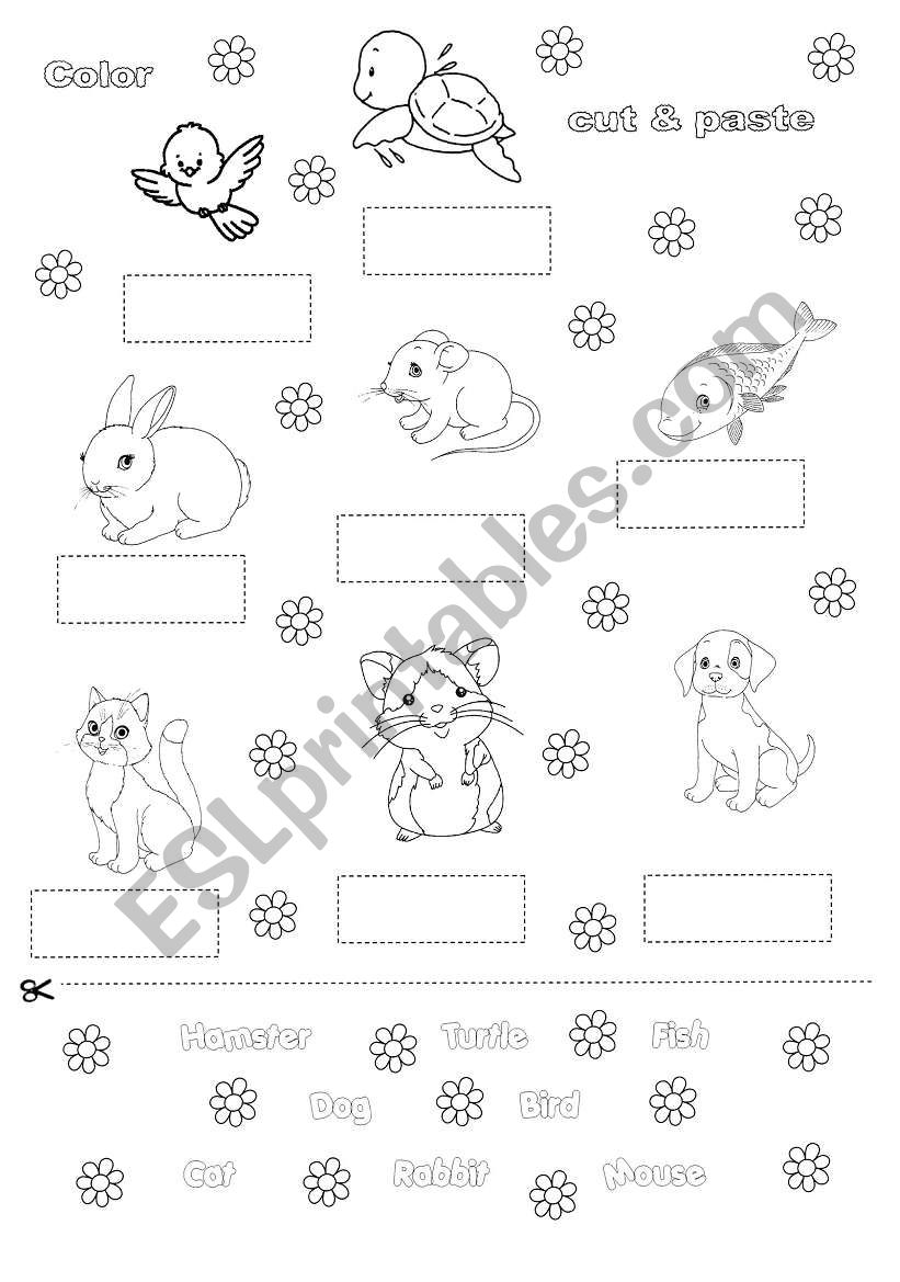 pets worksheet