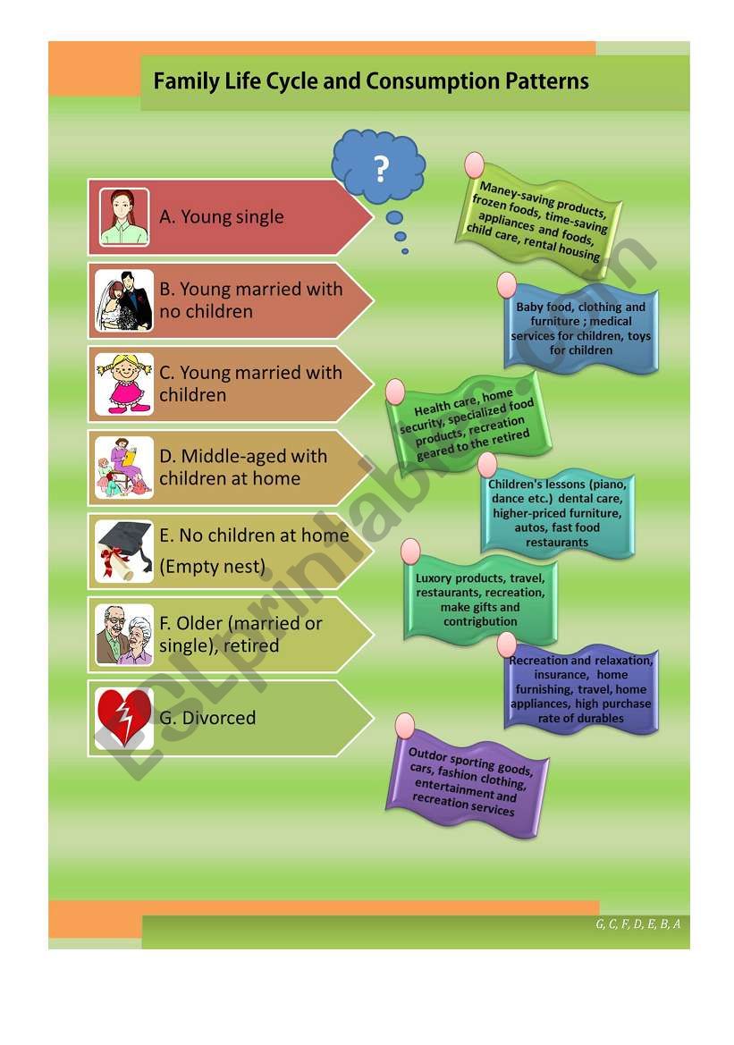 Life cycle worksheet