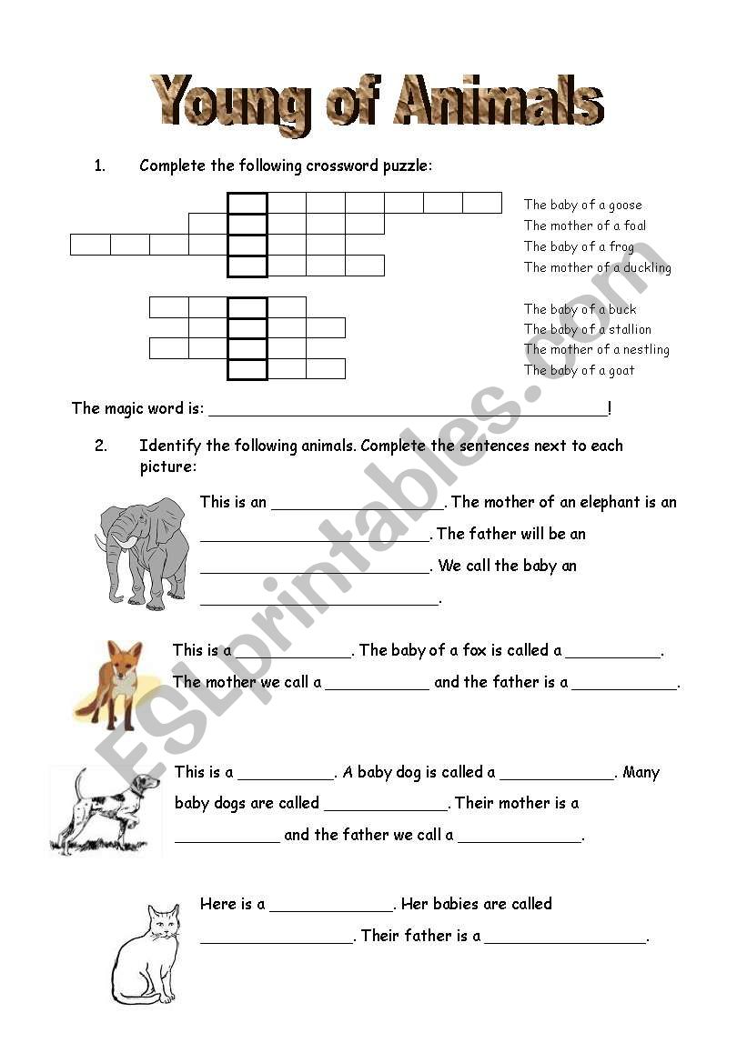 Young of animals worksheet