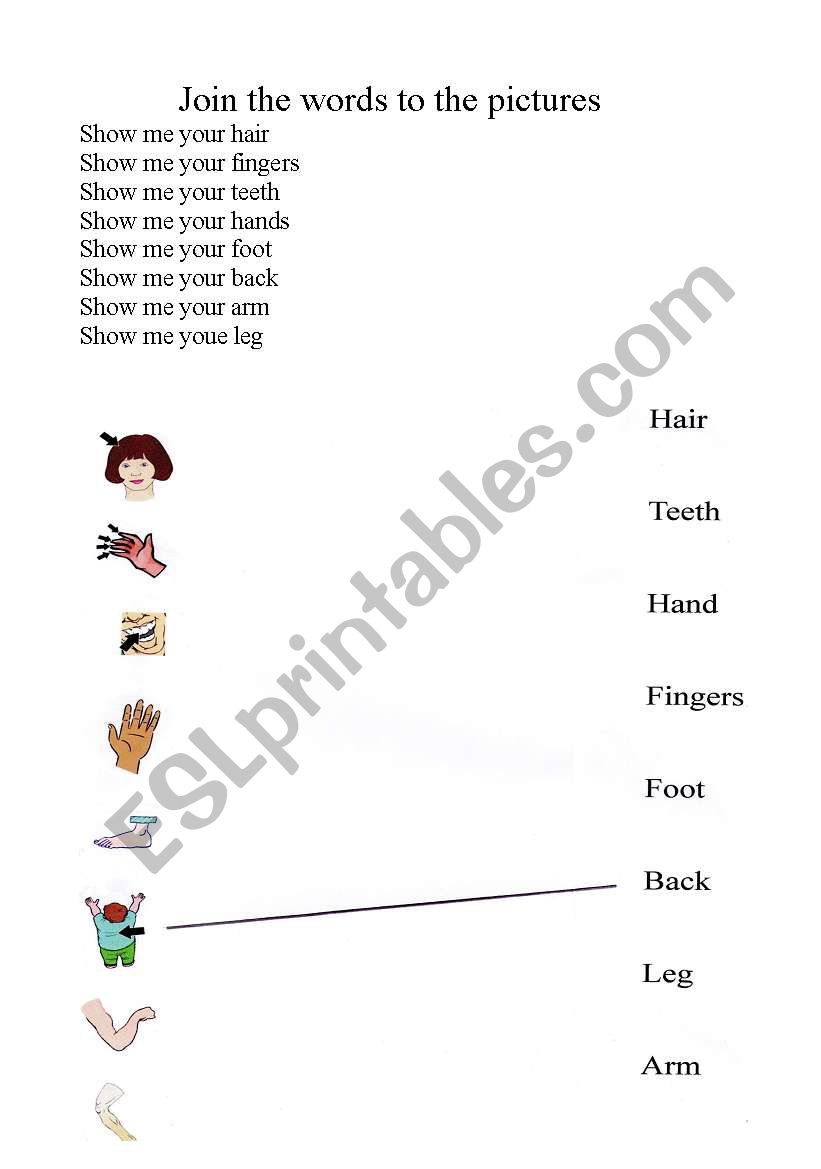 Show me your body parts worksheet