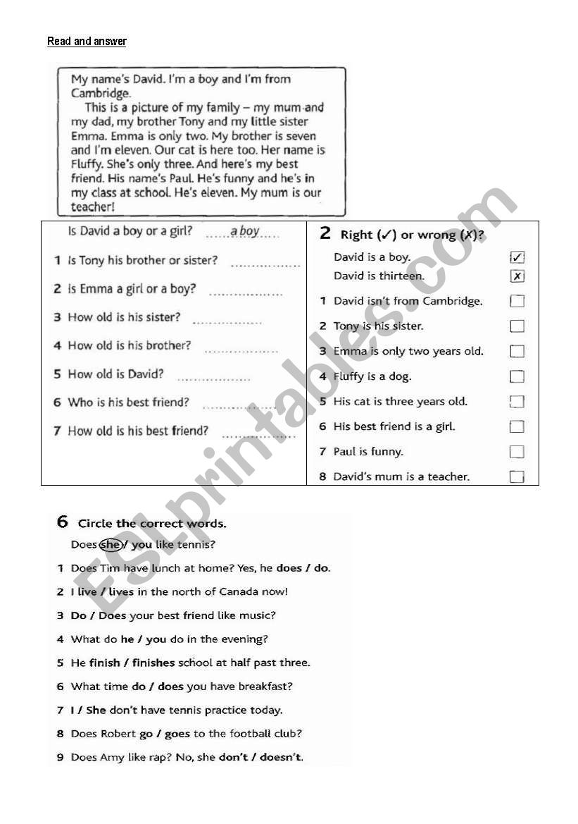 READING COMPRENHENSION worksheet