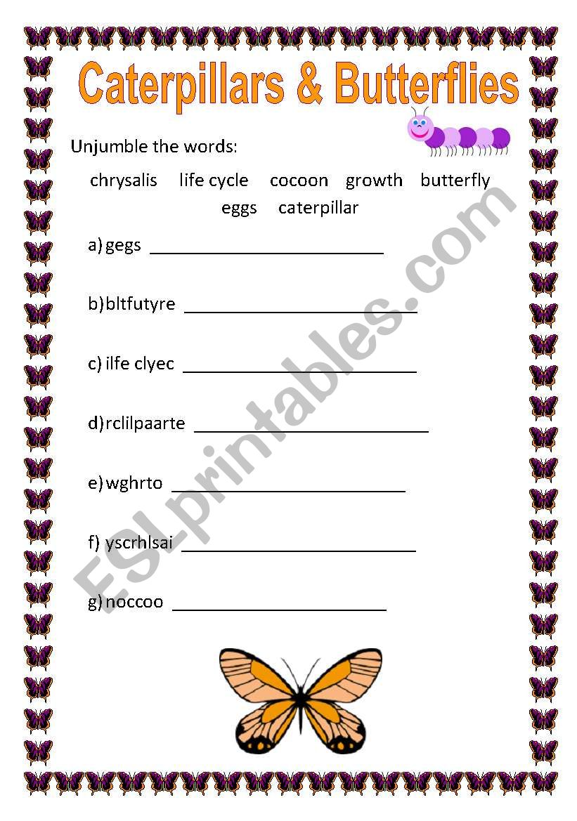 Unjumble the Words - Butterflies