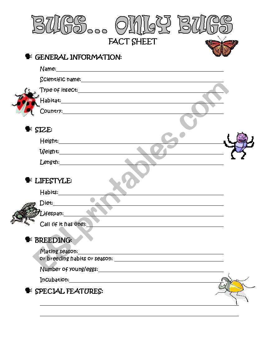 Bugs...only bugs worksheet