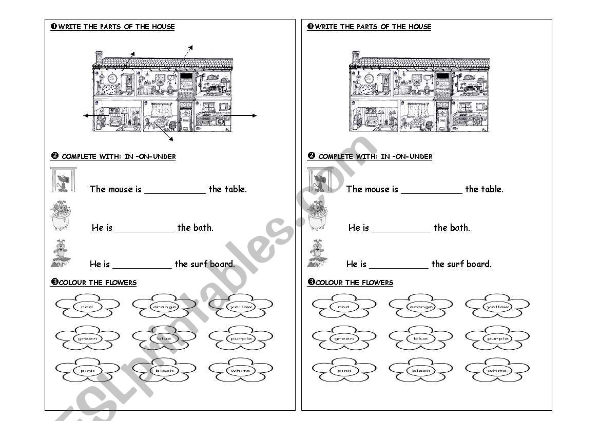 English quiz worksheet