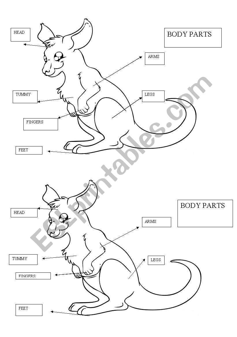 body parts worksheet