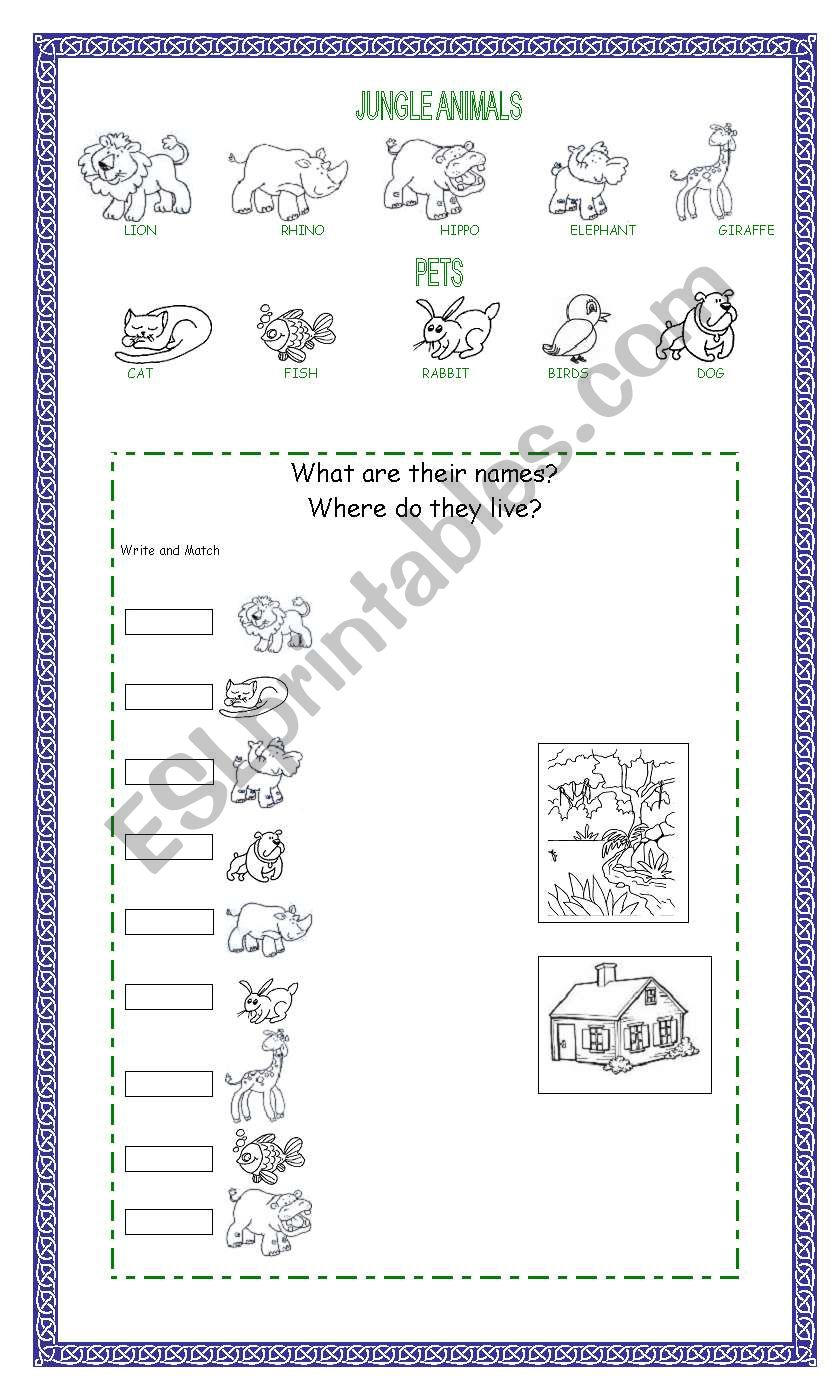 JUNGLE ANIMALS AND PETS worksheet