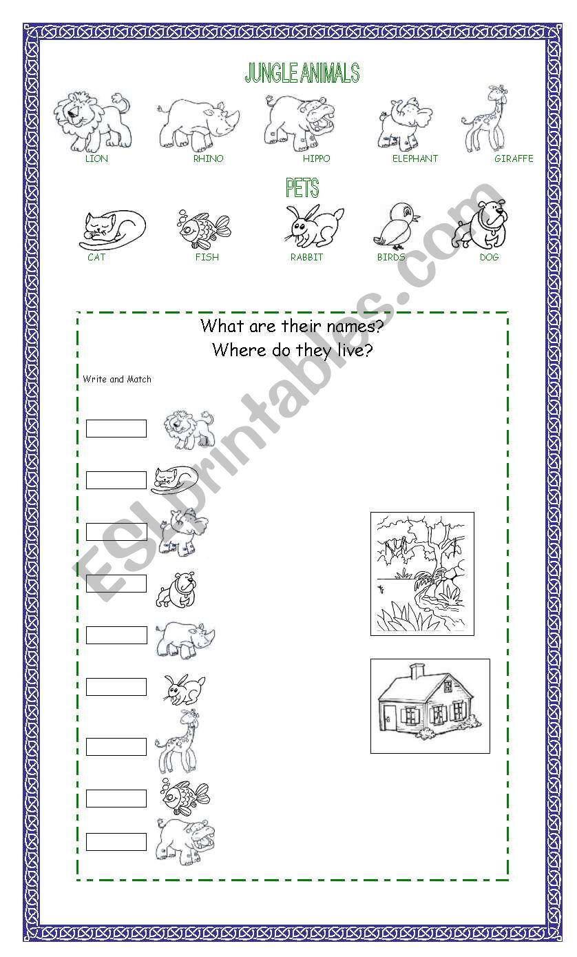 JUNGLE ANIMALS AND PETS worksheet