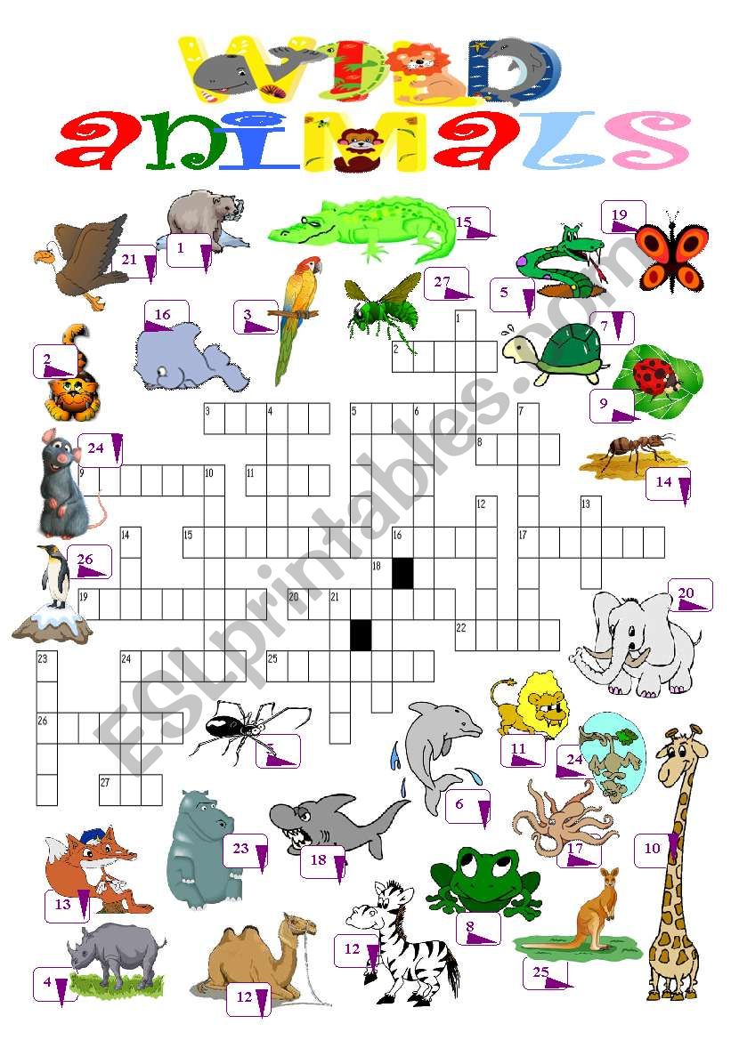 wild animals worksheet