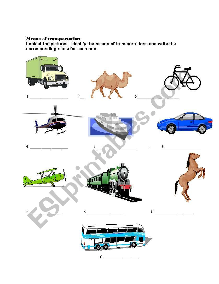 Means of Transportation worksheet