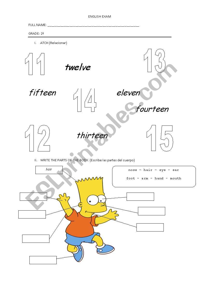 number and parts of the body worksheet