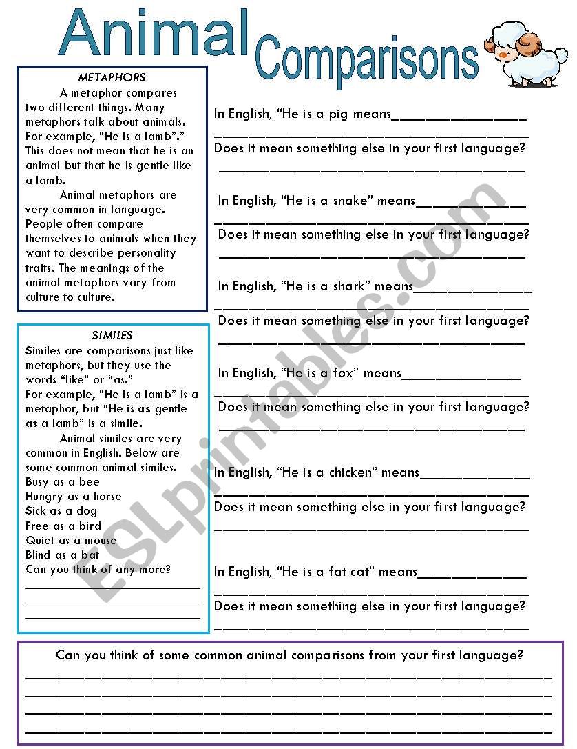 Animal Comparisons worksheet