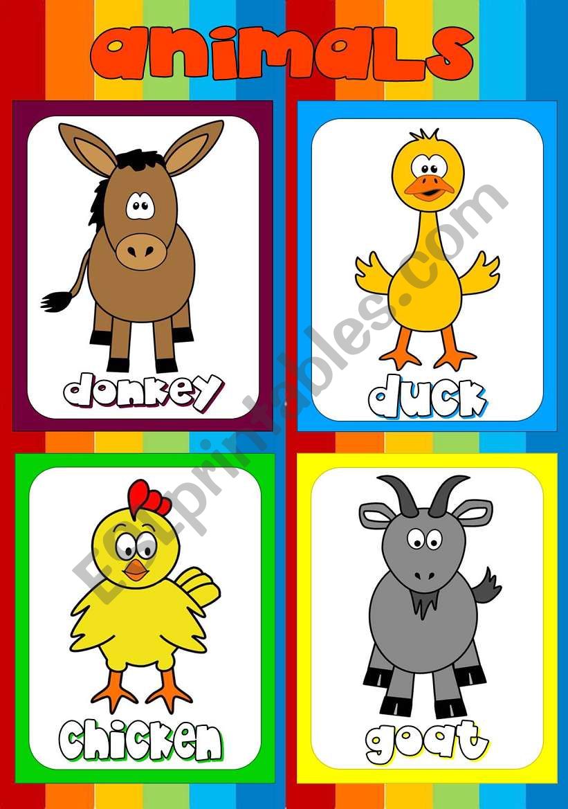 Animal flashcards (5) worksheet