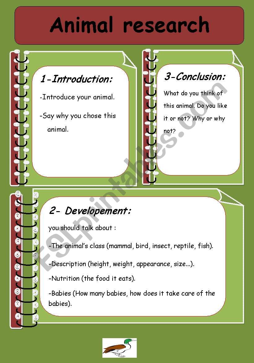 animal research worksheet